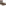 Thumbnail for THE DREAMCLOUD LUXURY DIVAN BED